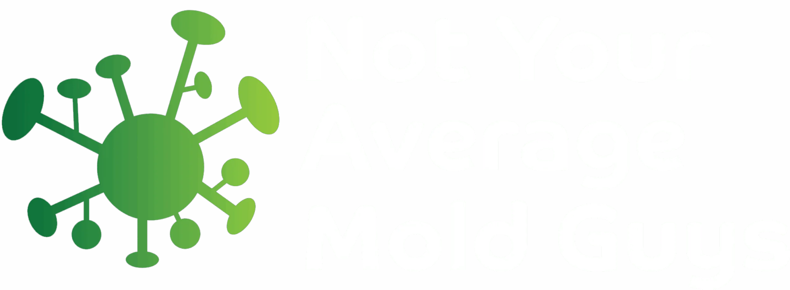 Not Your Average Mold Guys3
