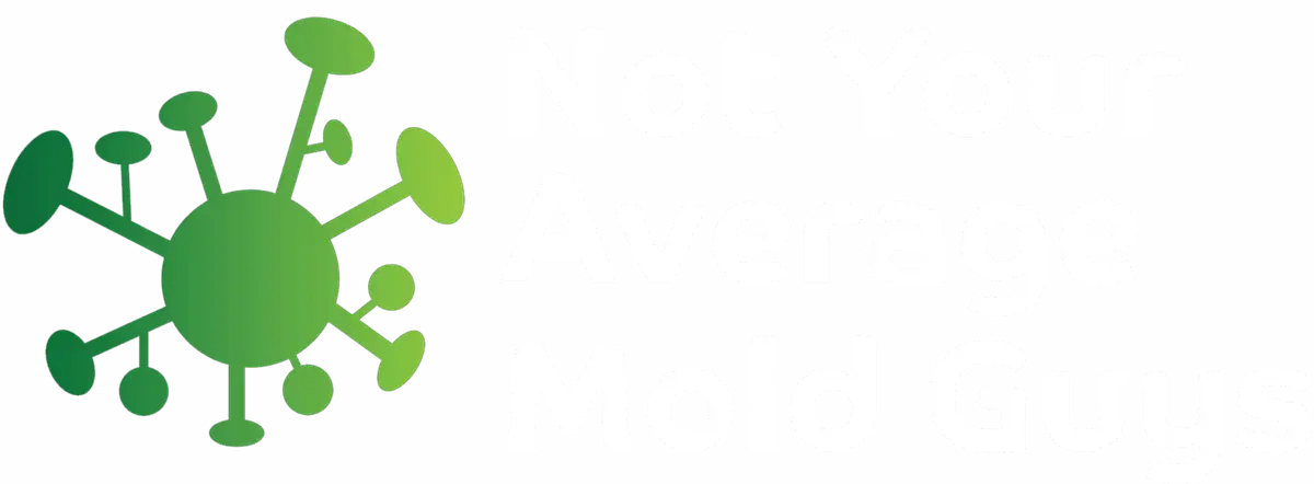 Not Your Average Mold Guys3