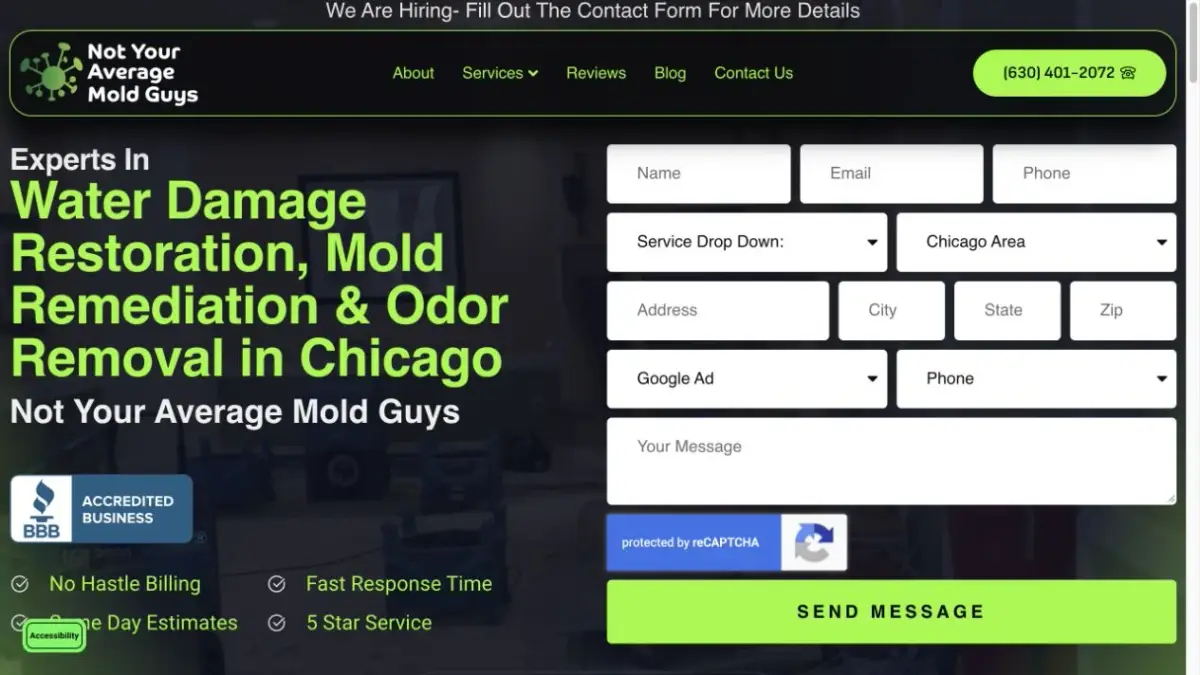 home 36 Not Your Average Mold Guys website